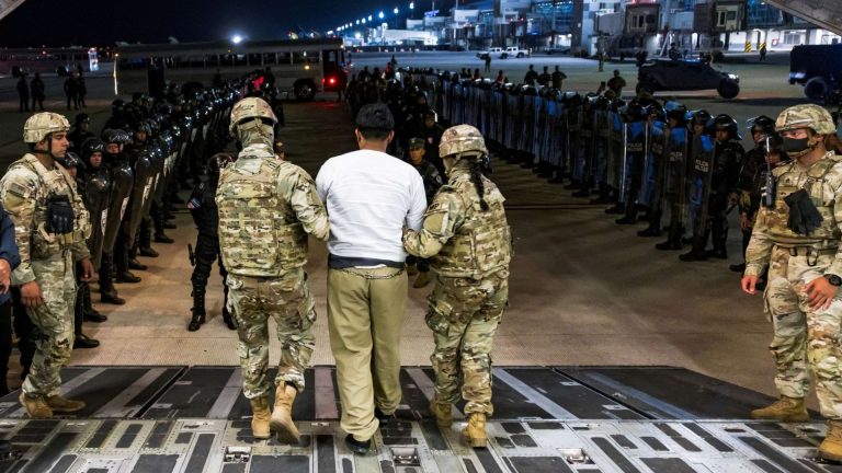 Trump isn’t actually interfered with transnational gangs