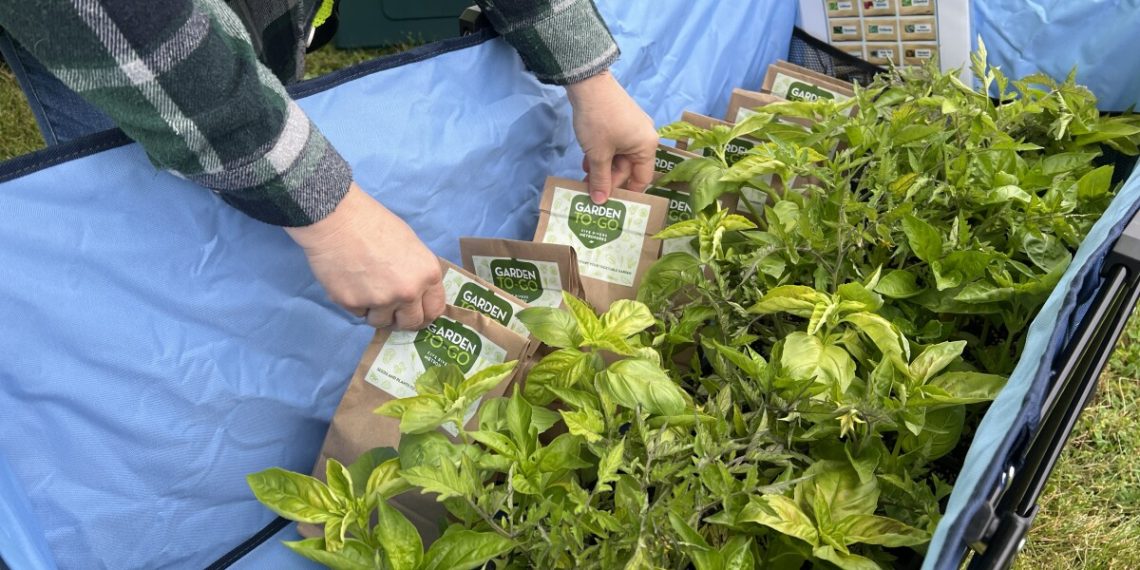 Backyard kits with seeds, starter crops given out at Dayton-area cellular meals financial institution stops