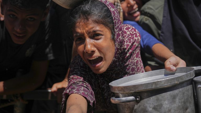 How a US-backed physique plans to deal with Gaza’s meals distribution and why help teams oppose it