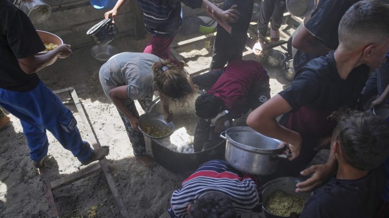 Meals safety consultants warn Gaza is at crucial danger of famine if Israel would not finish its blockade