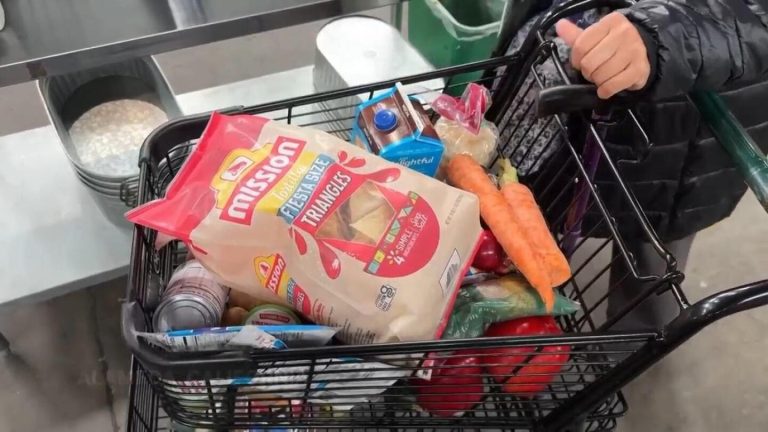 Meals banks battle with rising demand and federal funding cuts – AP Information