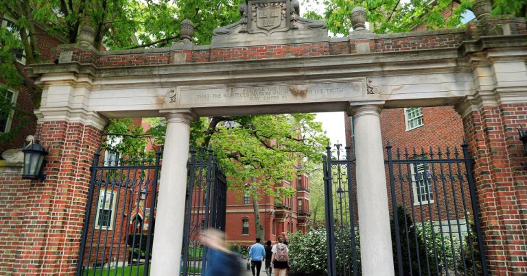 Trump assault on Harvard to dam worldwide college students