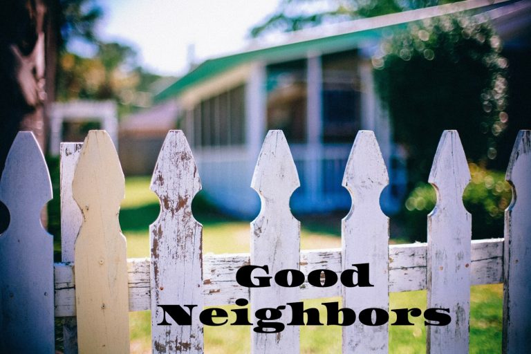 Good neighbors printed on Could 28, 2025 – West Central Tribune