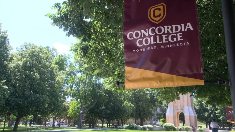 Concordia seeks individuals for examine on way of life, treatment and cognitive well being – InForum