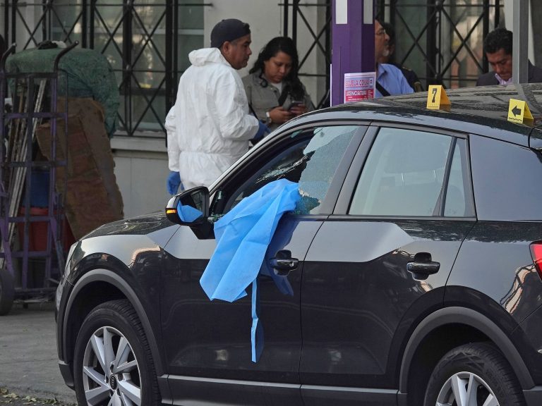 A counselor of the Mayor of Mexico in an armed assault killed the non-public secretary