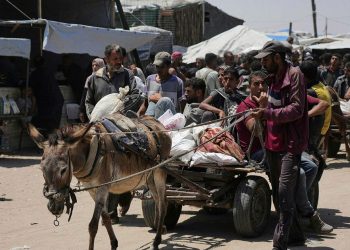 50 Palestinians Killed by Israeli Hearth in Gaza, Many Close to Assist Websites Whereas Searching for Meals, Ministry Says – Israel Information