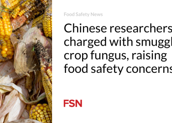 Chinese language researchers charged with smuggling crop fungus, elevating meals security issues