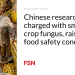 Chinese language researchers charged with smuggling crop fungus, elevating meals security issues
