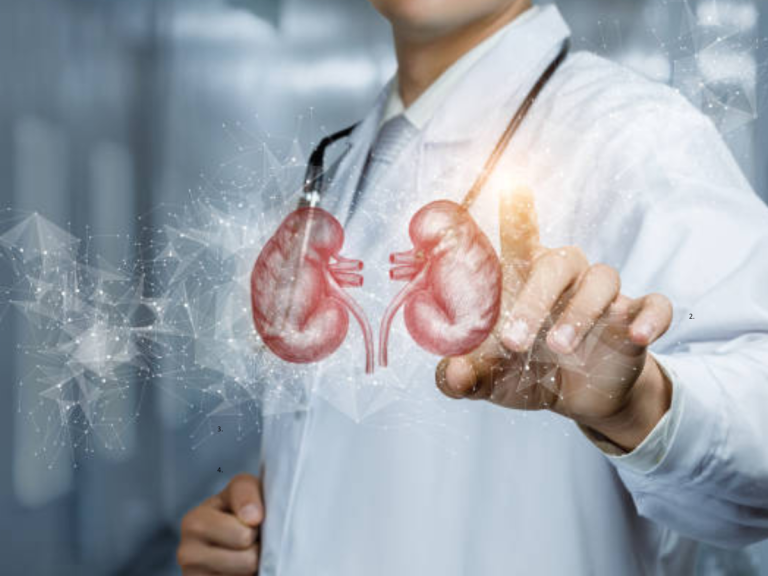 ​6 meals that assist enhance kidney well being​
