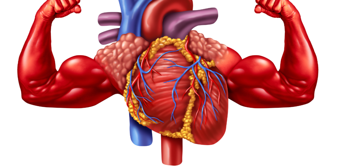 5 meals which might be wonderful for the center – Occasions of India