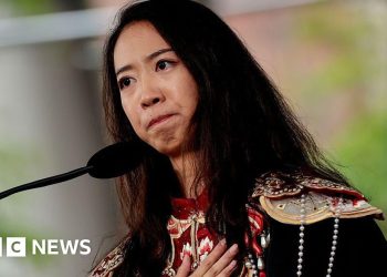 Harvard Chinese language pupil graduate speech attracts reward and anger