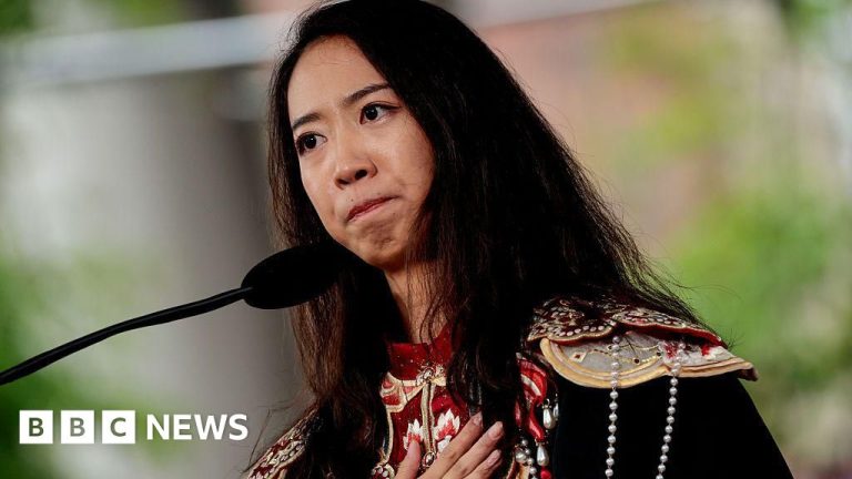 Harvard Chinese language pupil graduate speech attracts reward and anger