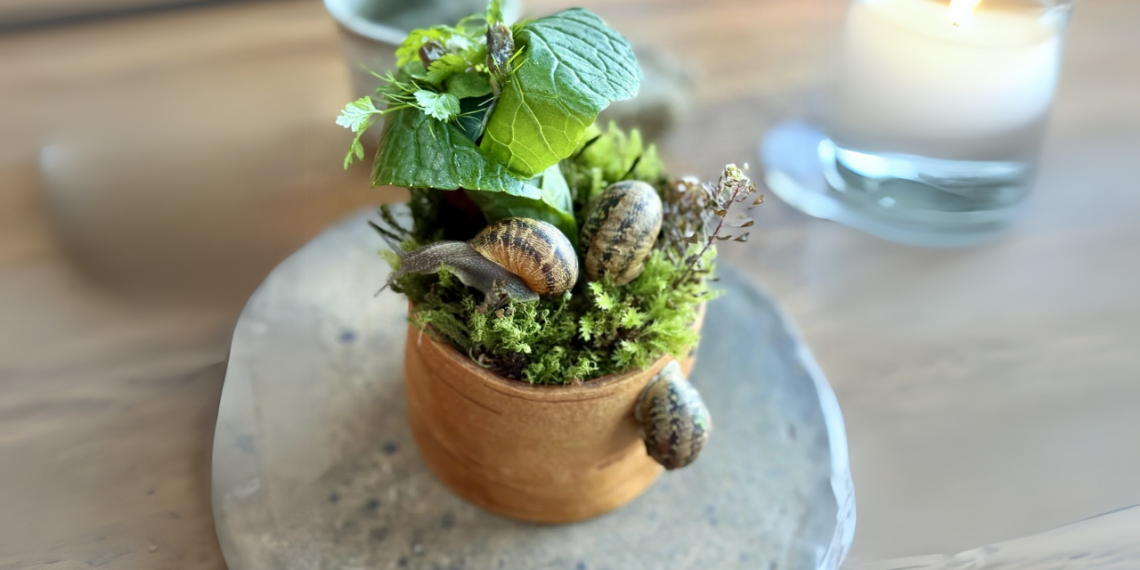 Reside Snails In Your Salad? This Three-Michelin-Starred Copenhagen Restaurant Has A Daring New Dish You Should Strive As soon as