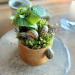 Reside Snails In Your Salad? This Three-Michelin-Starred Copenhagen Restaurant Has A Daring New Dish You Should Strive As soon as