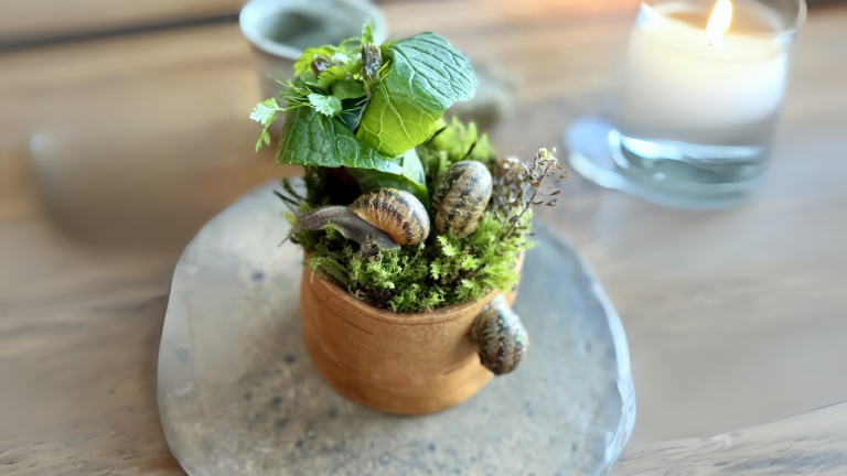 Reside Snails In Your Salad? This Three-Michelin-Starred Copenhagen Restaurant Has A Daring New Dish You Should Strive As soon as