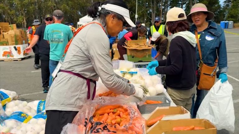 6,500 Bay Space residents going through elevated meals insecurity with closure of pop-up pantries