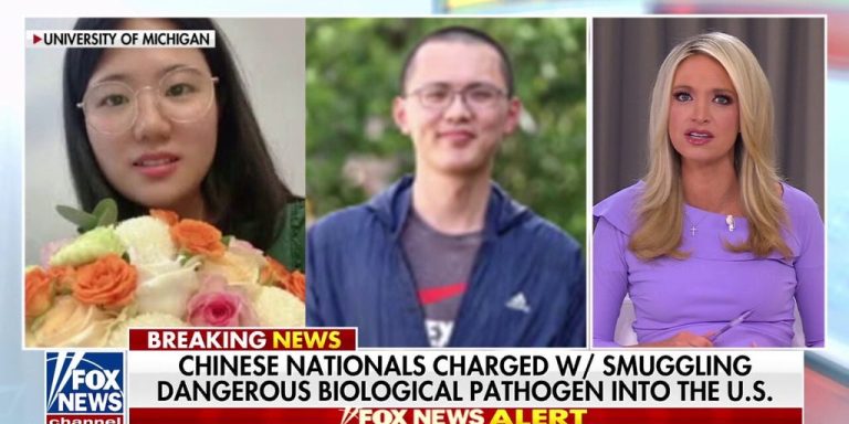 FBI warns Chinese language ‘agroterrorism’ menace may goal US meals provide – Fox Information