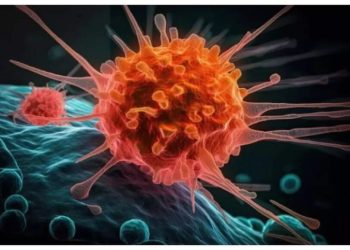 Why does Breast Most cancers occur? 5 largest triggers in response to the most recent analysis