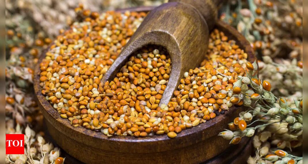Millets aren’t any trendy fad: Bronze Age people consumed this gluten-free grain, right here’s why |