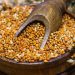 Millets aren’t any trendy fad: Bronze Age people consumed this gluten-free grain, right here’s why |