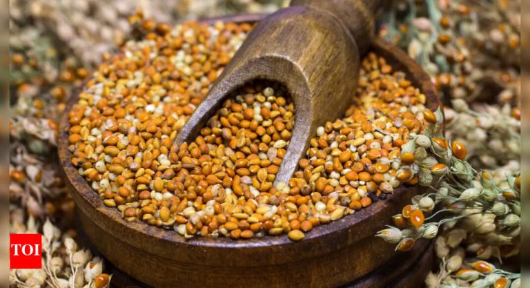 Millets aren’t any trendy fad: Bronze Age people consumed this gluten-free grain, right here’s why |