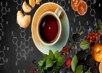 Tea, berries, darkish chocolate, apples can result in an extended life span: Examine