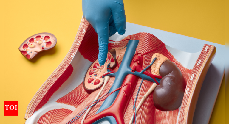 Kidney Well being: Can excessive uric acid ranges result in kidney most cancers? 5 issues to know |