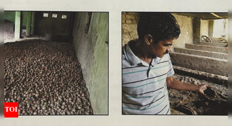 How natural farming methods helped a farmer in Bihar lower manufacturing prices