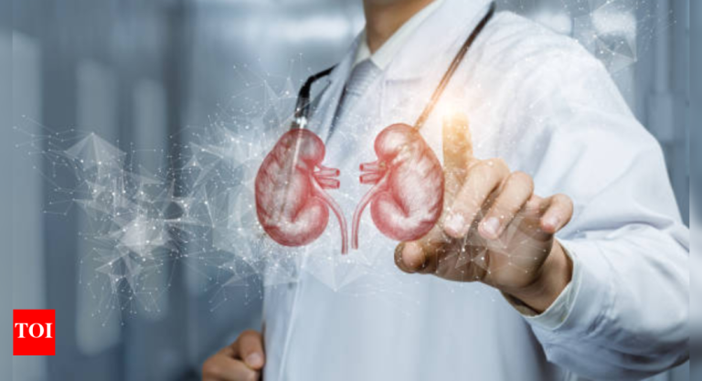 Can creatine injury your kidneys? Myths, information, and what it is advisable be careful for