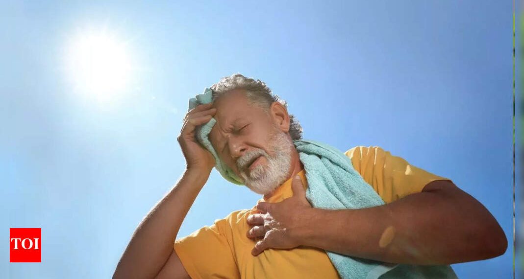 6 meals that may assist repair sunstroke associated fever