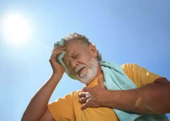 6 meals that may assist repair sunstroke associated fever
