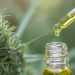 What’s CBD oil: Know its well being advantages, makes use of, and scientific backing behind the cannabinoid development |