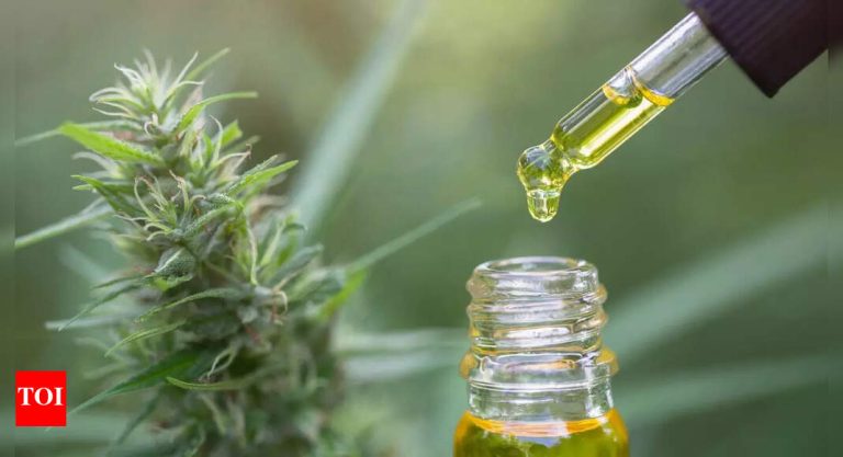 What’s CBD oil: Know its well being advantages, makes use of, and scientific backing behind the cannabinoid development |