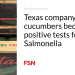 Texas firm remembers cucumbers due to constructive checks for Salmonella