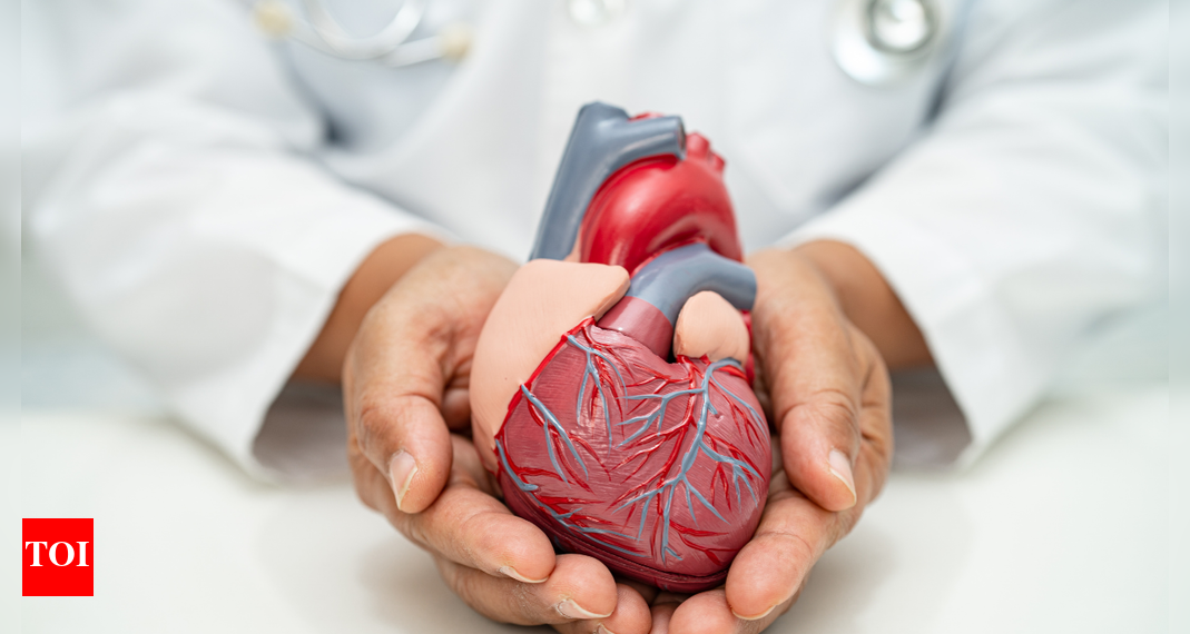 four on a regular basis habits that assist stop coronary heart assaults