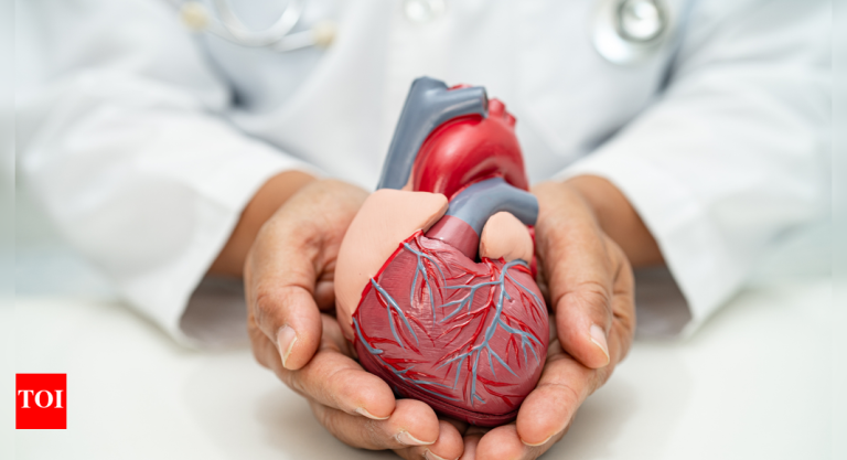 four on a regular basis habits that assist stop coronary heart assaults