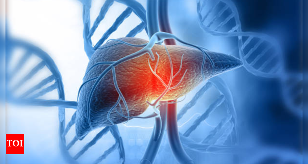 Liver injury begins right here: The on a regular basis kitchen staple nobody warned you about |