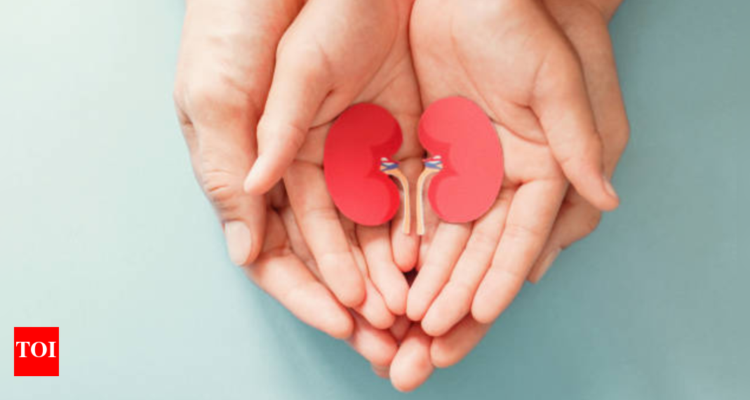 Kidney Well being: Can gaining even Three-Four kgs of weight improve our threat of kidney illness? The right way to forestall it |