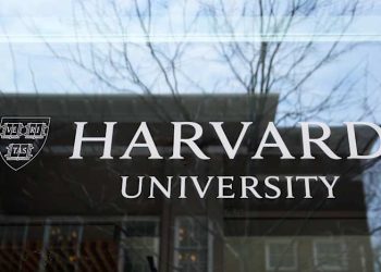 How did Trump goal Harvard’s worldwide college students – and what does the final courtroom resolution imply