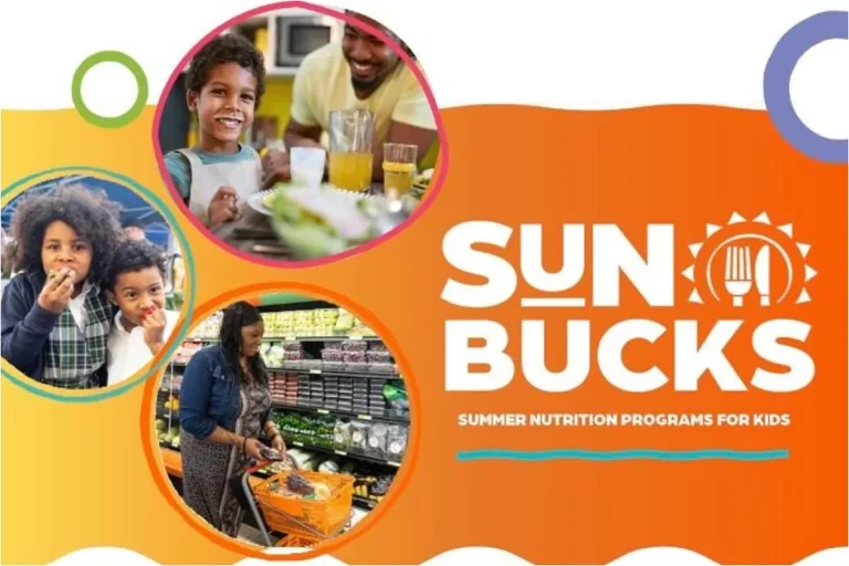 Right here is the listing of states that can NOT obtain summer season meals stamps in 2025 – MARCA