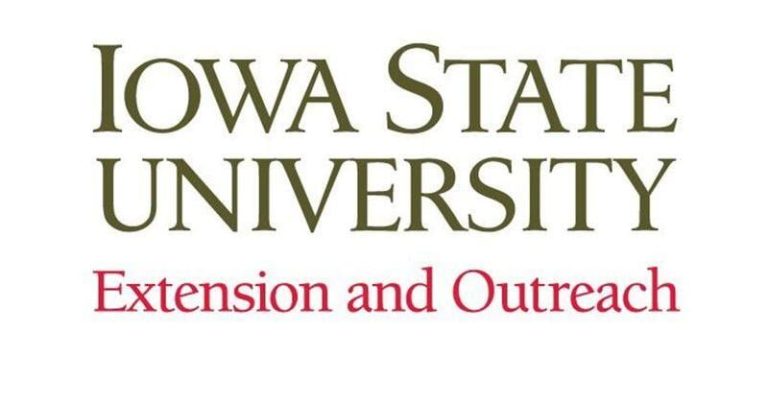 Be taught to assist somebody in disaster with Psychological Well being First Support | Information