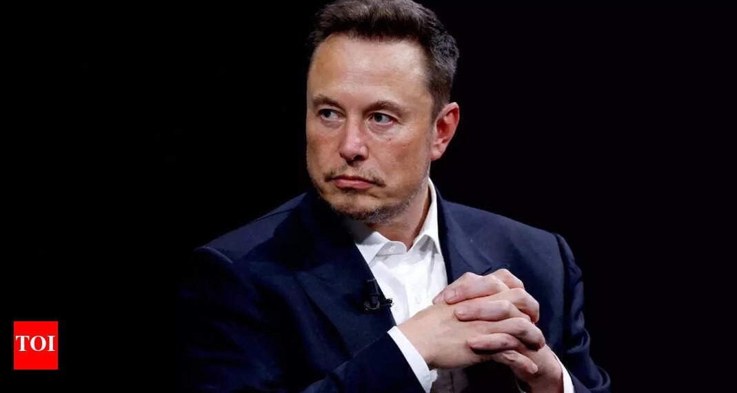 Elon Musk On When he wished solely a job in Netscape and was rejected as a result of …