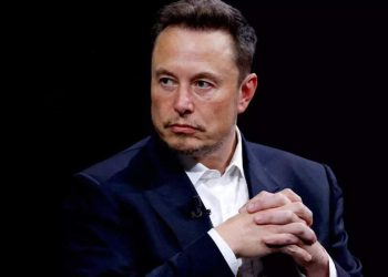 Elon Musk On When he wished solely a job in Netscape and was rejected as a result of …