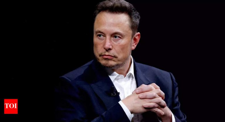 Elon Musk On When he wished solely a job in Netscape and was rejected as a result of …