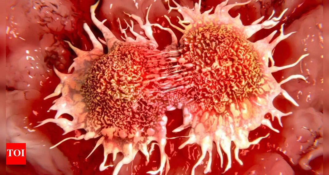 Most cancers: A game-changer in most cancers analysis? South Korean scientists reprogram tumour cells with out chemotherapy or radiation |