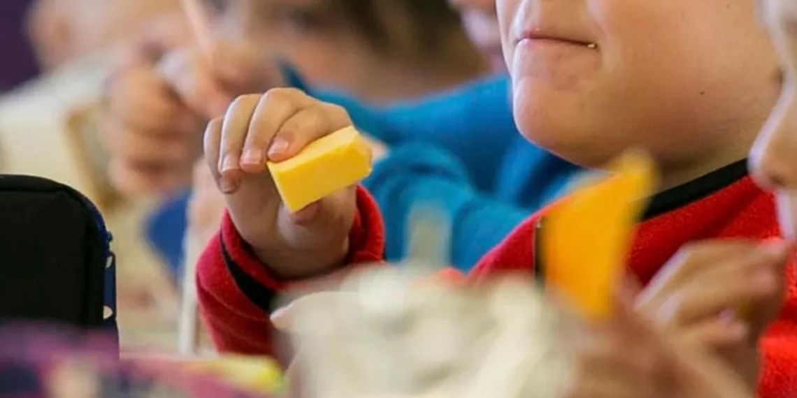 Summer time Meals Coupons 2025: What can you purchase with this help and what’s prohibited? – MARCA