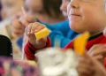 Summer time Meals Coupons 2025: What can you purchase with this help and what’s prohibited? – MARCA