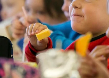 Summer time Meals Coupons 2025: What can you purchase with this help and what’s prohibited? – MARCA