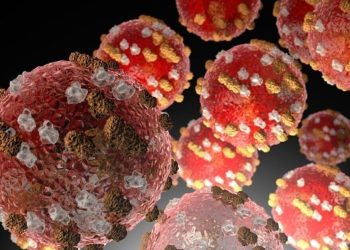 Measles publicity alert in Helena prompts well being response | Helena Information