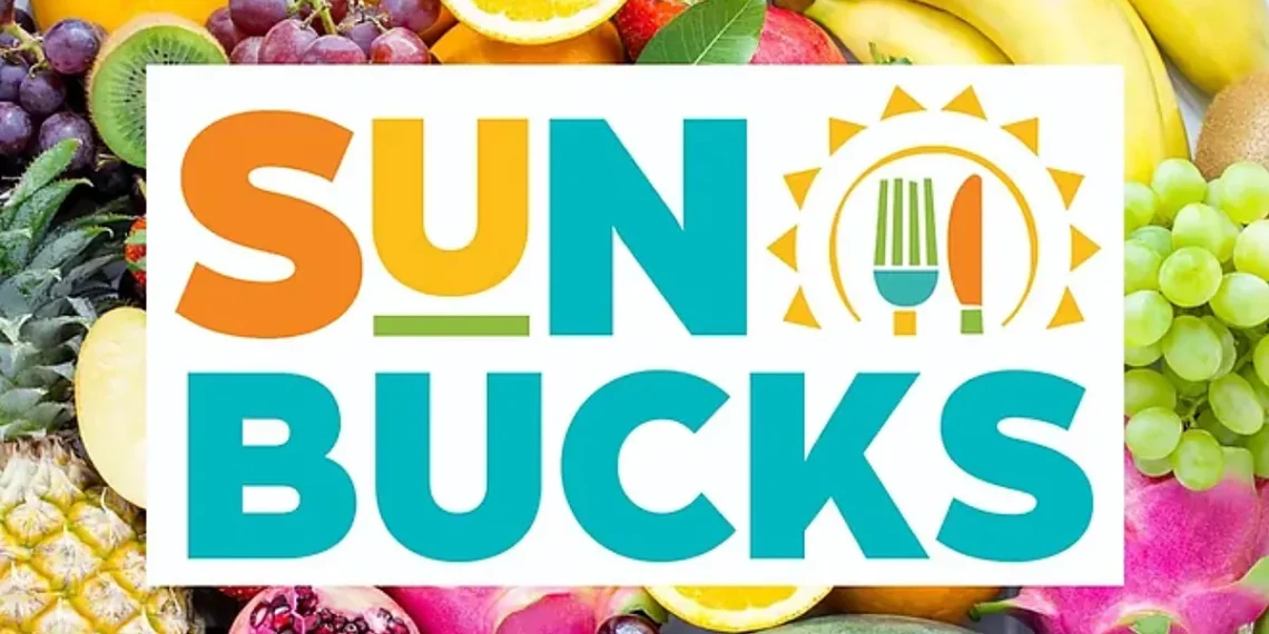 Summer season Meals Coupons 2025: The place Will Your Deposit Be Despatched This 12 months? – MARCA